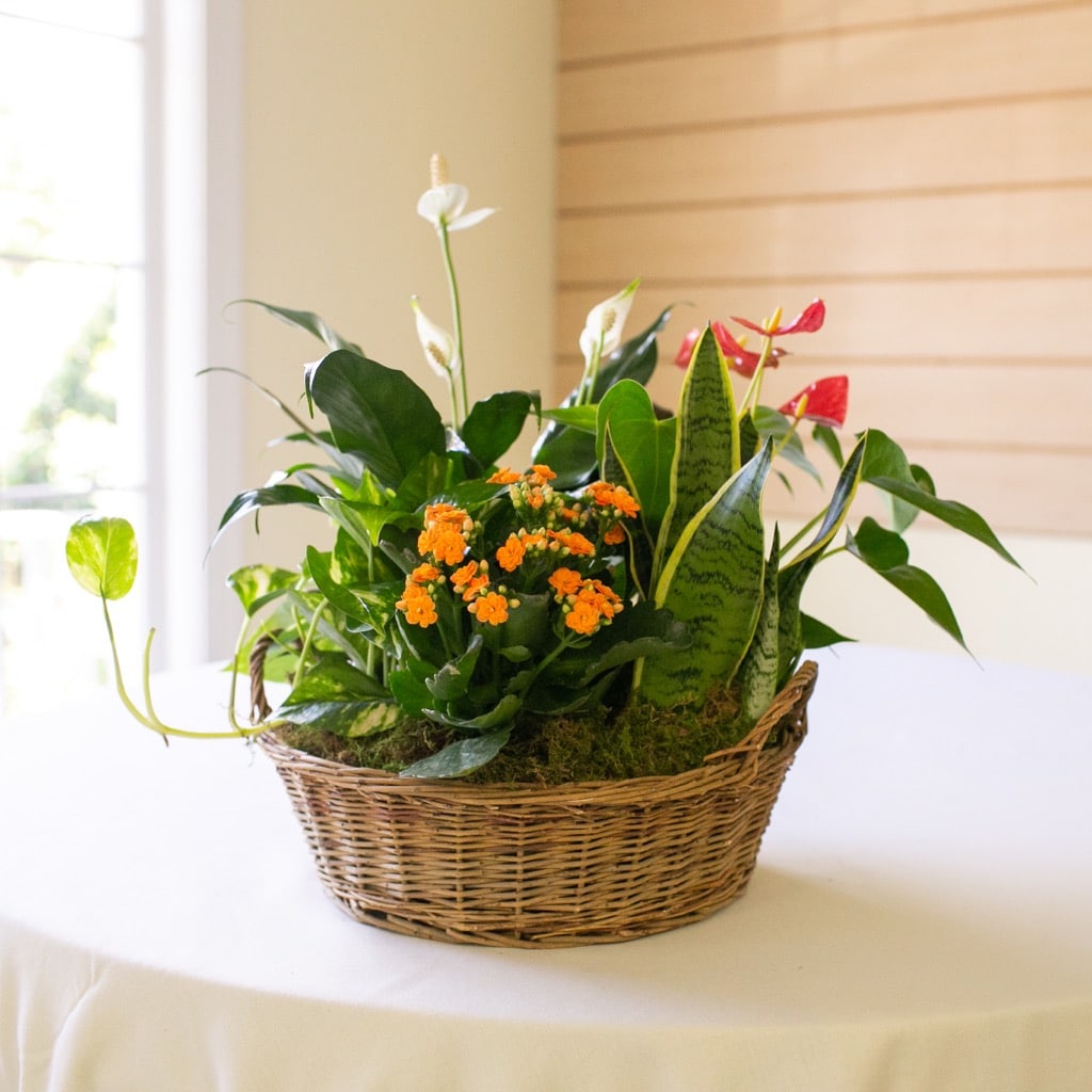 Beautiful Seasonal Flowers Banner